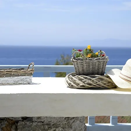 The Big Blue Guest house