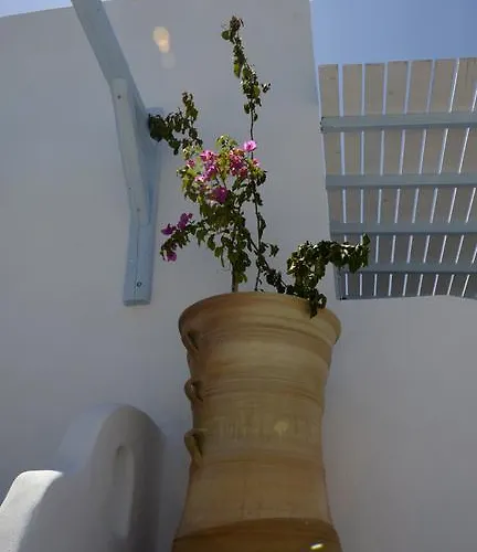 Pensionat The Big Blue Ormos Aigialis